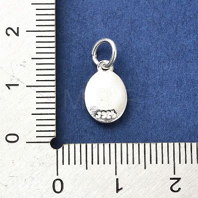 Sterling Silver Charms STER-E070-03C-1