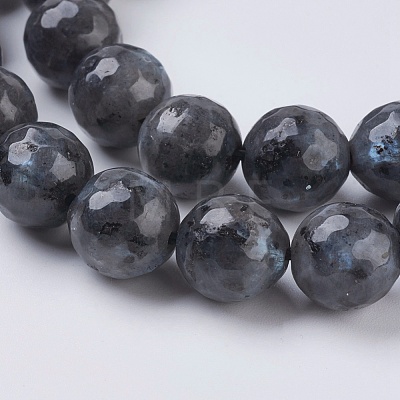 Natural Larvikite Beads Strands G-G542-10mm-27-1