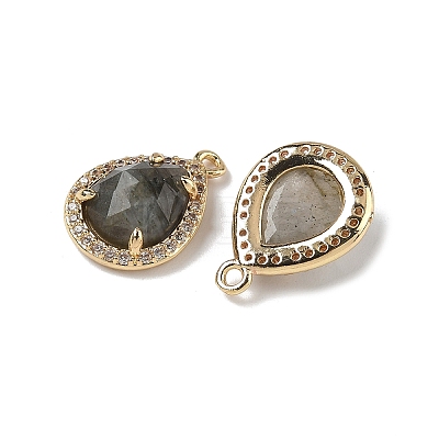 Natural Labradorite Faceted Teardrop Pendants X-G-U028-02G-06-1