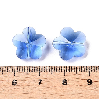 Transparent Glass Beads GLAA-Q066-14mm-C08-1