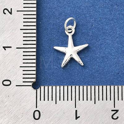 925 Sterling Silver Charms STER-Q003-01C-S-1