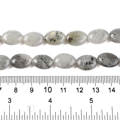 Natural Labradorite Beads Strands G-M206-42-1