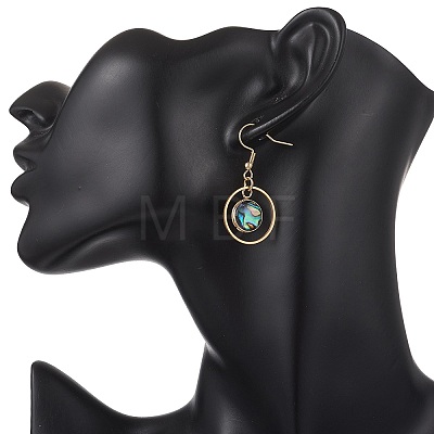 Paua Shell Dangle Earrings EJEW-JE06981-1
