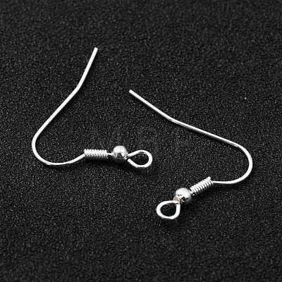 304 Stainless Steel Earring Hooks STAS-L258-001B-S-1