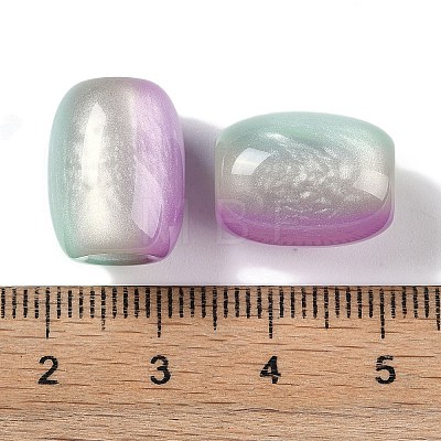 Triple Color Resin European Beads RESI-F055-13G-1