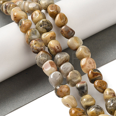 Natural Crazy Lace Agate Beads Strands G-B078-D23-01-1