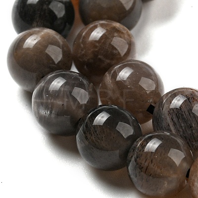 Natural Black Moonstone Beads Strands G-A219-A01-02-1