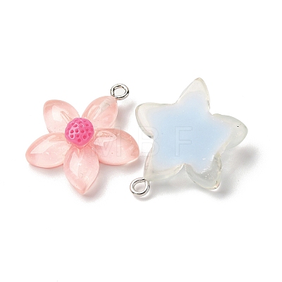 Transparent Resin Pendants RESI-Z043-04P-1