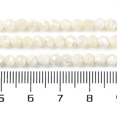 Shell Beads Strands SSHEL-E571-38-4mm-1