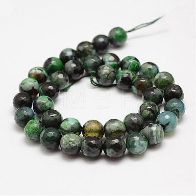 Faceted Natural Fire Crackle Agate Beads Strands G-F447-10mm-A18-1