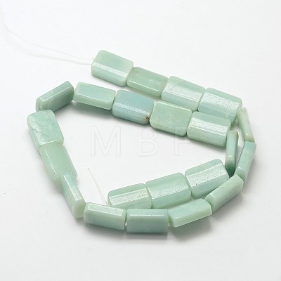 Natural Amazonite Rectangle Beads Strands G-P091-55-1