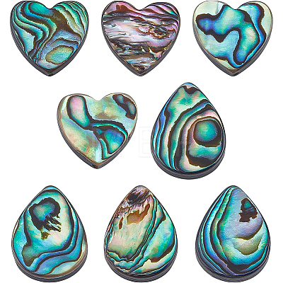 8Pcs 2 Style Abalone Shell/Paua Shell Beads SHEL-BC0001-013-1