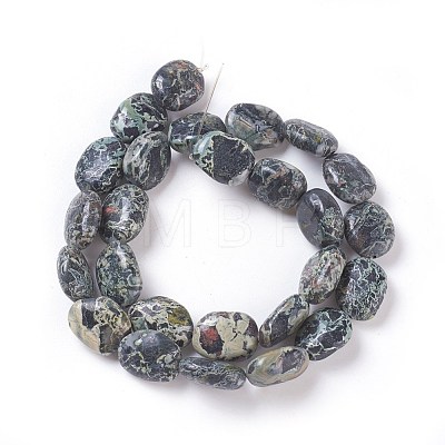 Natural Serpentine Beads Strands G-I231-01-1