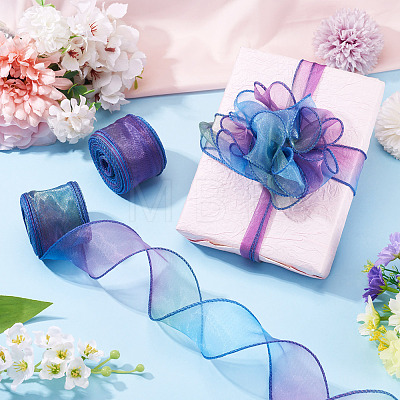 2 Rolls Polyester Mesh Ribbons SRIB-TA0003-42A-1