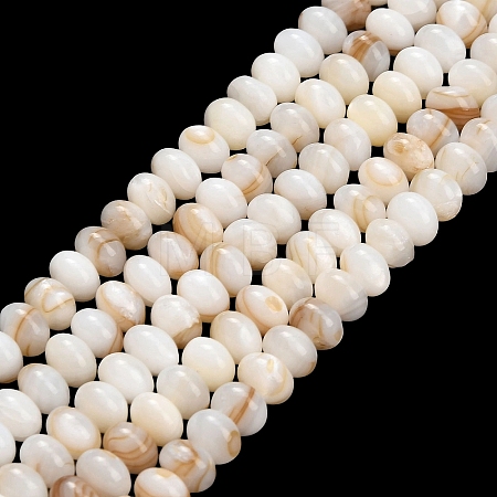 Natural Freshwater Shell Beads Strands SHEL-C010-04A-01-1