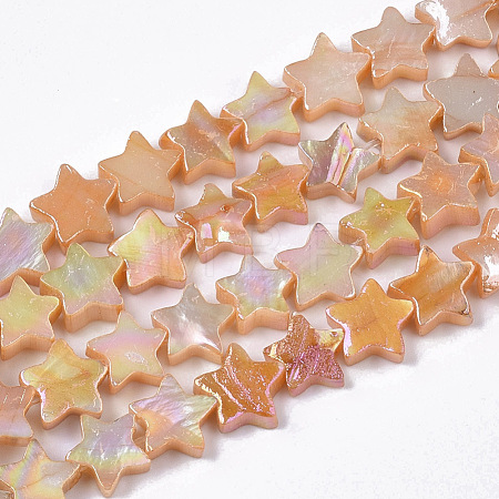 Freshwater Shell Beads Strands SHEL-N026-08C-1