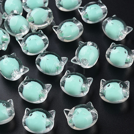 Transparent Acrylic Beads MACR-S373-115-B03-1