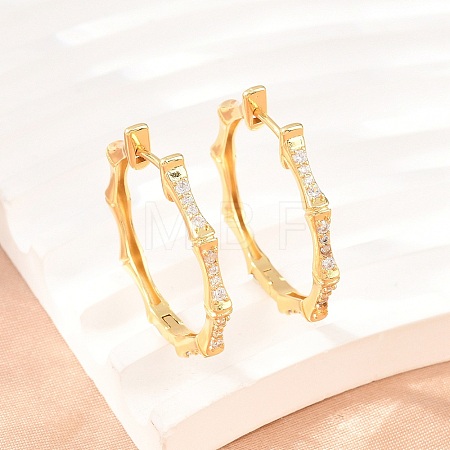 Brass Micro Pave Cubic Zirconia Hoop Earrings EJEW-P346-07G-01-1