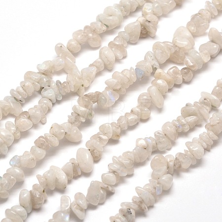 Natural Rainbow Moonstone Chip Bead Strands G-M205-62-1