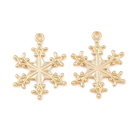 Alloy Pendants FIND-B059-05G-02-1