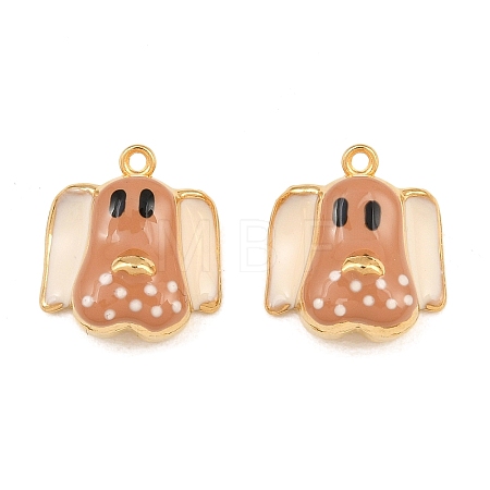 304 Stainless Steel Enamel Pendants SA-CBA033B-01G-02-1