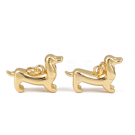Brass Pendants KK-L255-20G-02-1