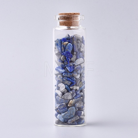 Glass Wishing Bottle LS-DJEW-L013-A17-1