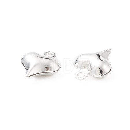 304 Stainless Steel Charms STAS-I138-11A-S-1