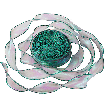 Polyester Lace Trim DIY-TAC0010-49C-1