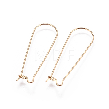 304 Stainless Steel Hoop Earring Finding STAS-E464-05G-1