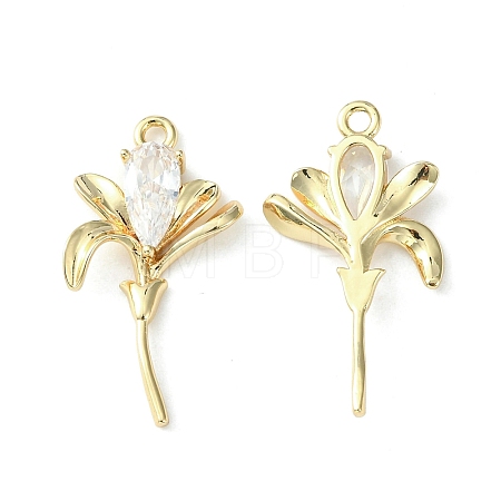 Brass Pave Cubic Zirconia Pendants X-KK-G462-49KCG-1