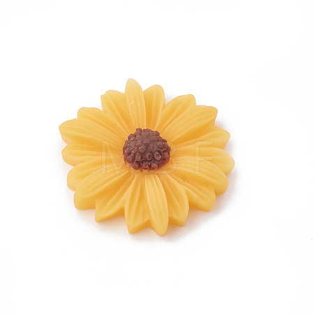 Resin Cabochons CRES-N007-10F-1