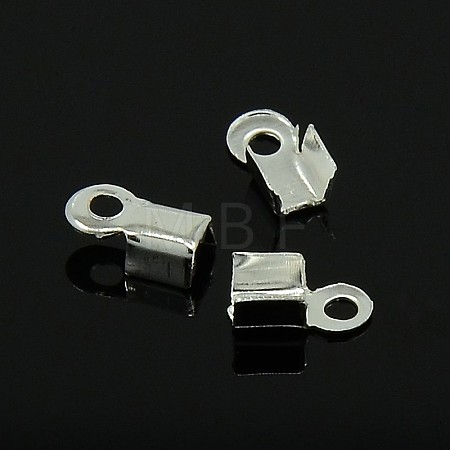 Iron Folding Crimp Ends E033Y-S-01-1