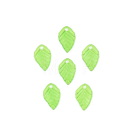 Transparent Acrylic Charms X-TACR-T012-04-1