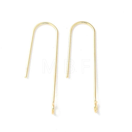 316 Surgical Stainless Steel Earring Hooks STAS-Z124-02D-G-1