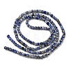 Natural Sodalite Beads Strands G-G0005-A01-3