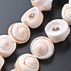 Natural Spiral Shell Bead Strands SSHEL-N034-106-2