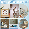 Natural Paua Shell Display Decorations DJEW-WH0042-148A-5