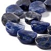 Natural Sodalite Beads Strands G-O120-14-4