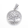 Tarnish Resistant 304 Stainless Steel Pendants LS-STAS-G126-16P-1