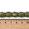 Painted Glass Beads Strands GLAA-Z021-20B-3
