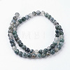 Natural Moss Agate Bead Strands G-G735-62-6mm-2