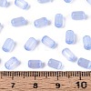 Drawbench Style Glass Seed Beads SEED-N008-10I-4