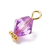 Transparent Acrylic Pendants PALLOY-JF01834-04-4