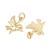 Brass Pendants KK-L275-58G-01-2