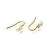 304 Stainless Steel Earring Hooks STAS-D310-01G-03-2