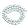 Frosted Glass Pearl Beads Strands GLAA-A044-08A-06-2