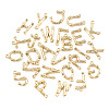 Alloy Pendants PALLOY-S137-001-NR-2