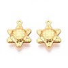 304 Stainless Steel Pendants STAS-N118-07G-1