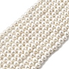 Electroplated Shell Pearl Beads Strands BSHE-K017-5mm-1